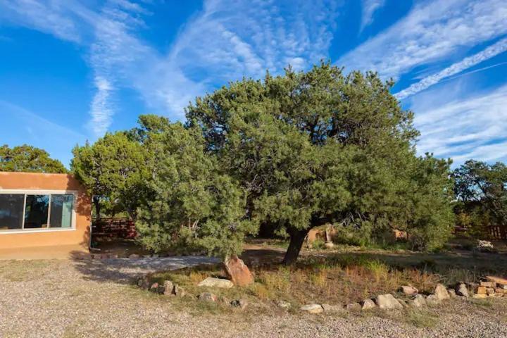 Pet Friendly Pinon Heaven Bed & Breakfast Canada de los Alamos Luaran gambar