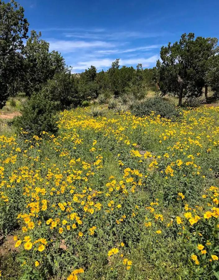 Pet Friendly Pinon Heaven Bed & Breakfast Canada de los Alamos Luaran gambar
